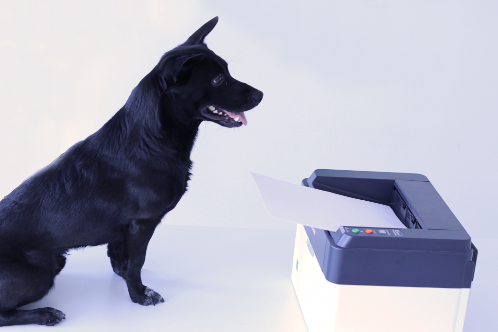Koira ja tulostin